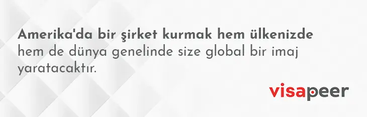 amerikada şirket kurmanın avantajı