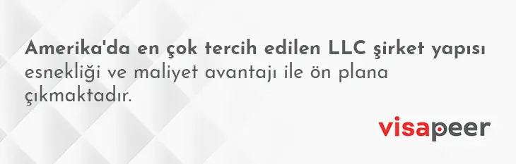 llc şirket nedir